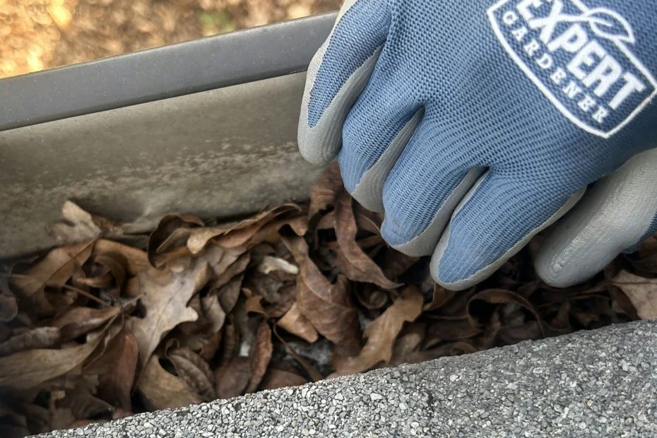 Gutter Cleaning Grant