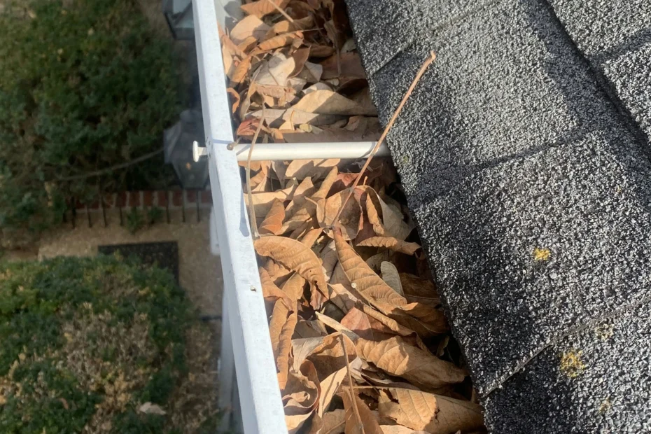 Gutter Cleaning Grant