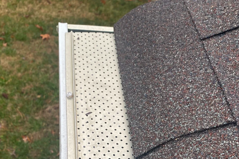 Gutter Cleaning Grant